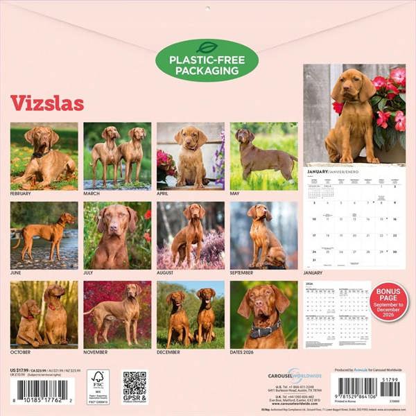 Vizslas Calendar 2027, Wall Calendars, Month To View, Dogs, Gift