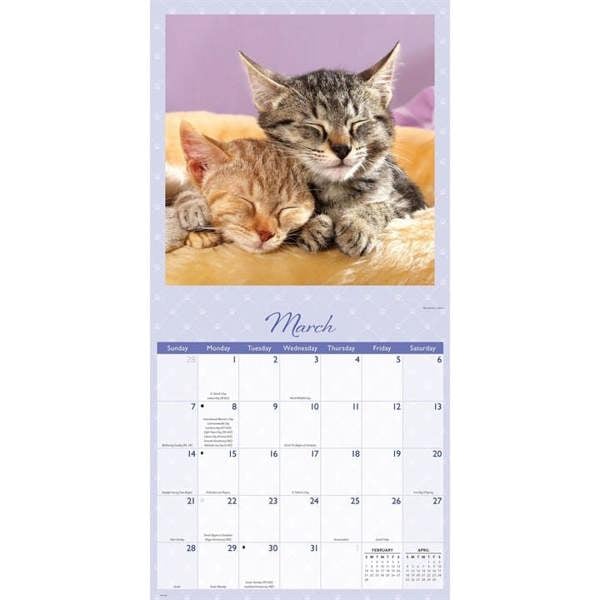 Naptime Cats Calendar 2027, Wall Calendars, Month To View, Cats, Gift