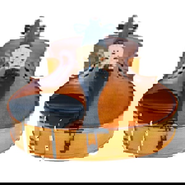 Forenza Prima 2 Viola Outfit - 14 Inch Violas