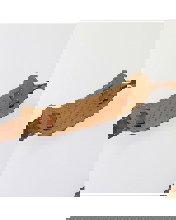 193967246.jpg