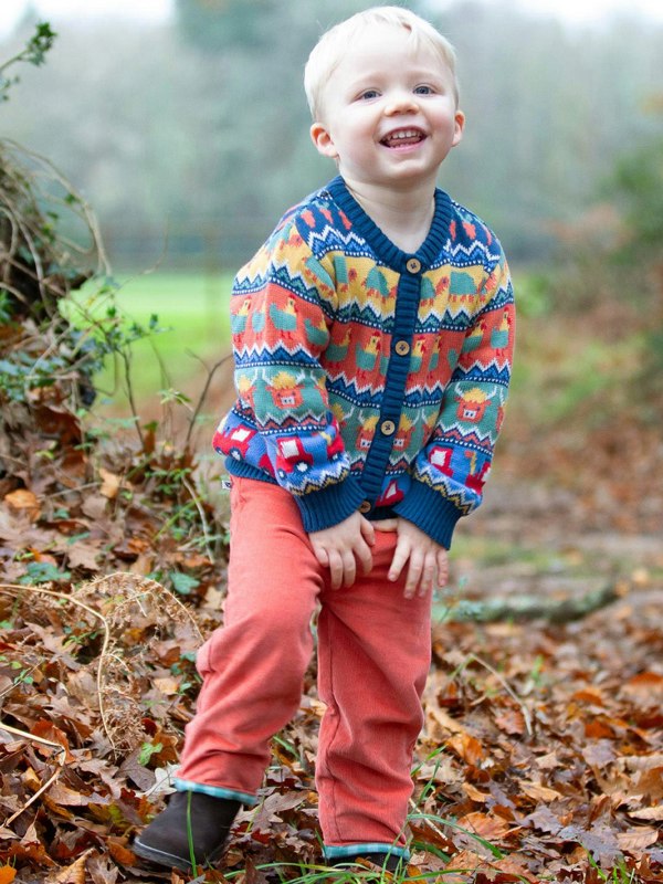 Kite Boys Organic Kaleidoscope Cardi
