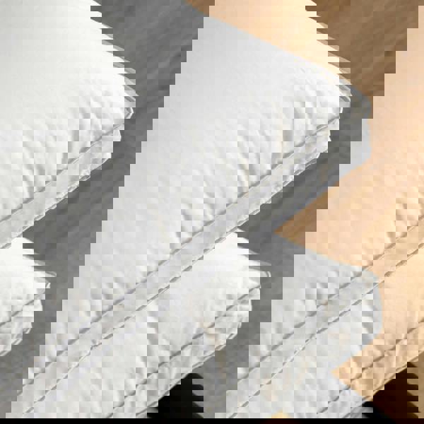 Soak&Sleep 80% Goose Down Pillows