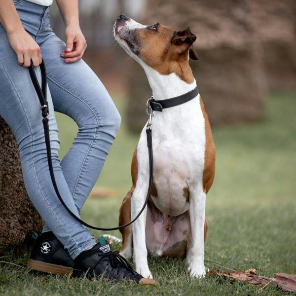 EzyDog Oxford Leather Classic Dog Lead in Black
