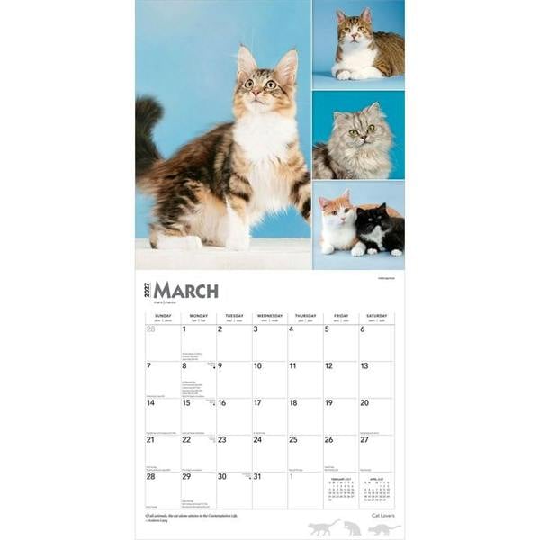 Cat Lovers Calendar 2027, Wall Calendars, Month To View, Cats, Gift