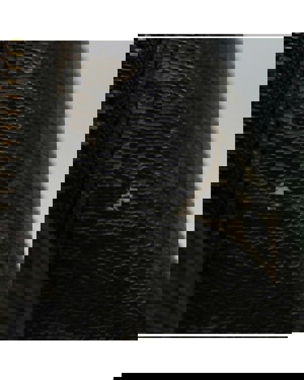 168473614.jpg