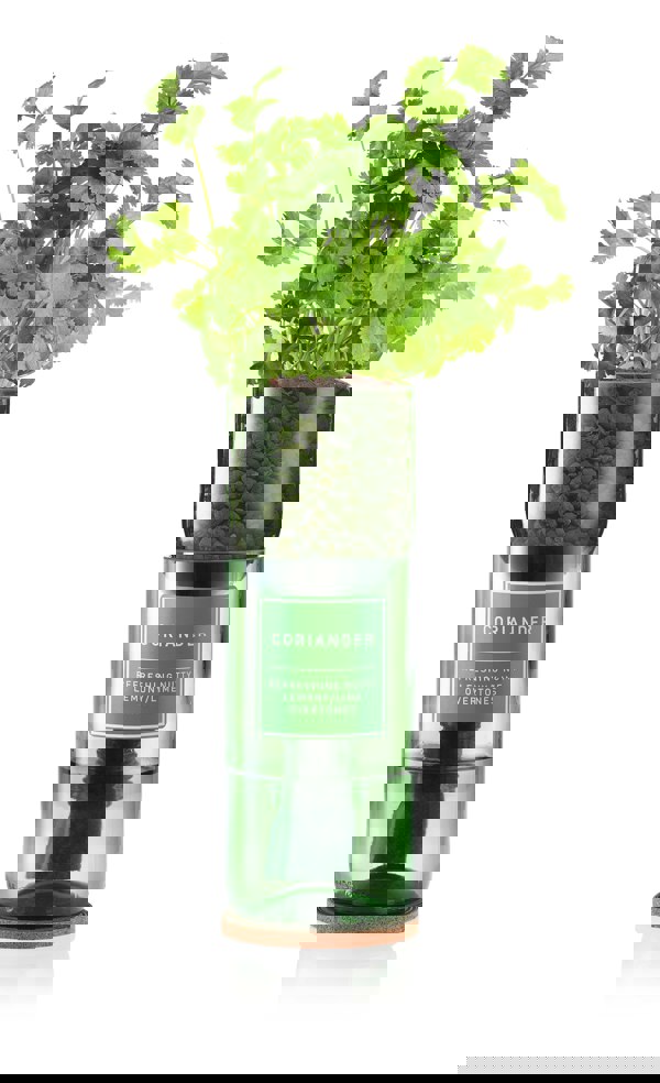 Urban Farm-It Hydro-Herb Coriander Kit