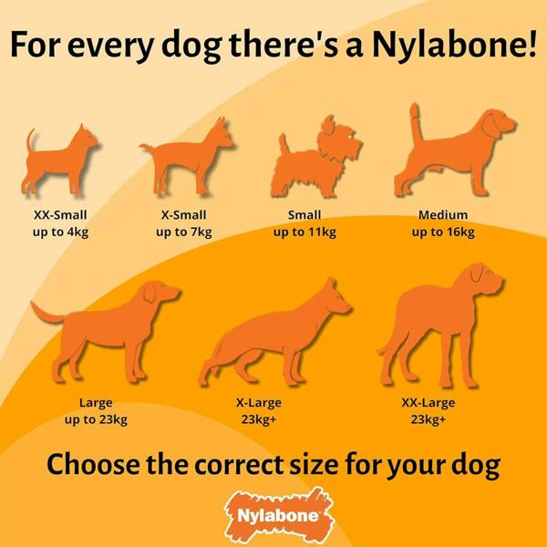 Nylabone Extreme Chewers Lobster Dog Chew Toy Filet Mignon Flavour (Small)