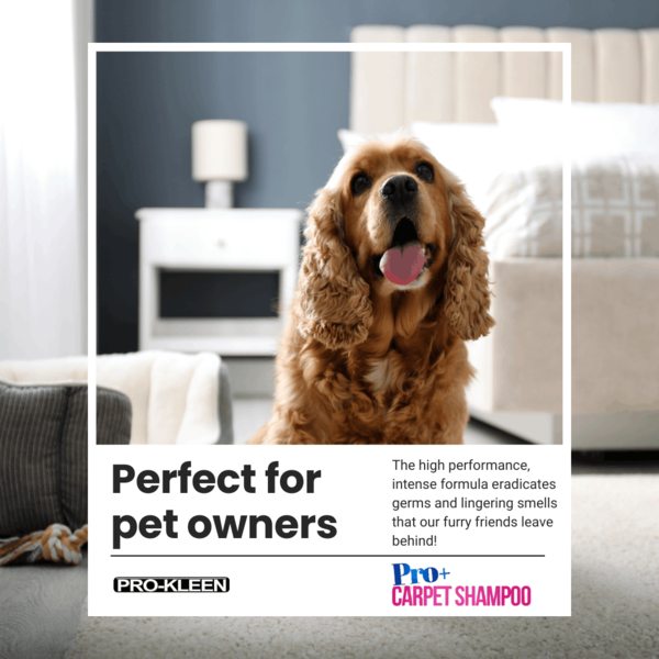 ProKleen Pro-Kleen Pro+ Carpet Shampoo and Upholstery Cleaning Solution 4 in 1 Concentrate Removes Pet Odour