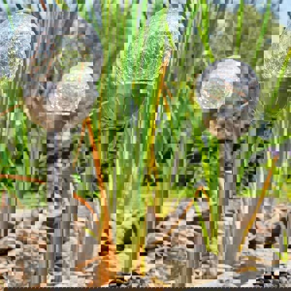 Luxform Pack of 4 Merengue Solar Spike Light