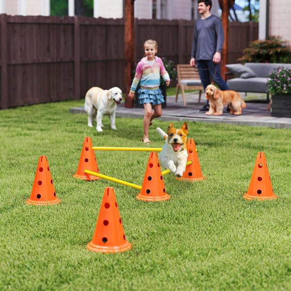 Pet Agility Set