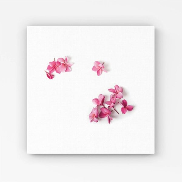 Warren Reed Pink Frangipani Flowers Canvas