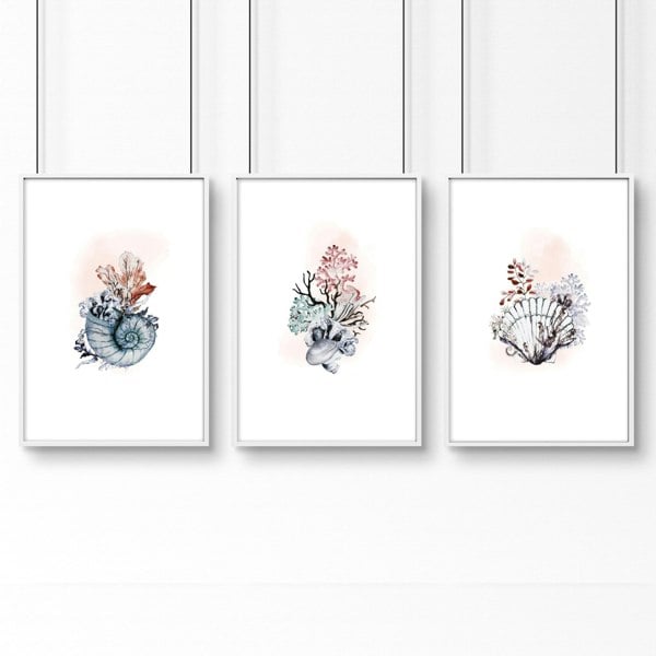 Home office print | set of 3 Seashells wall art prints