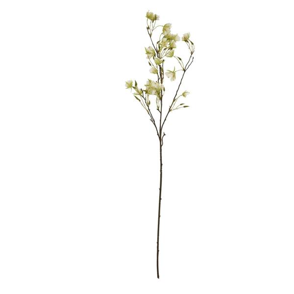 Wyld Haus Set of 3 Artificial Flowers Elaeocarpus Stems