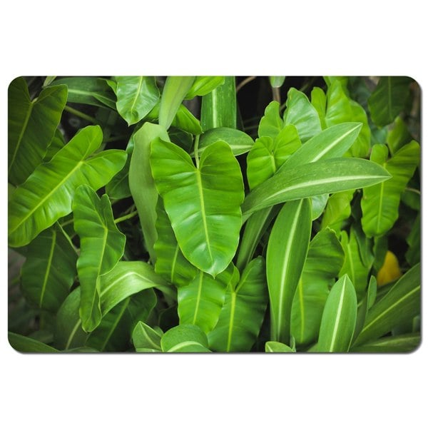 Benjamin Tate Design Abstract background of dark green leaves (Placemat)