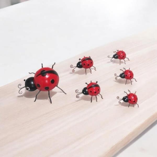 23/12/10CM SET 6 LADYBIRDS