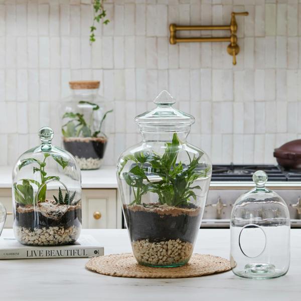 Ivyline Glass Bell Jar Open Terrarium