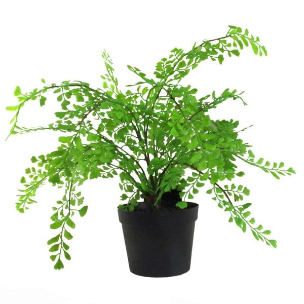 Leaf 35cm Artificial Potted Fern Plant (Southern Maidenhair Fern)