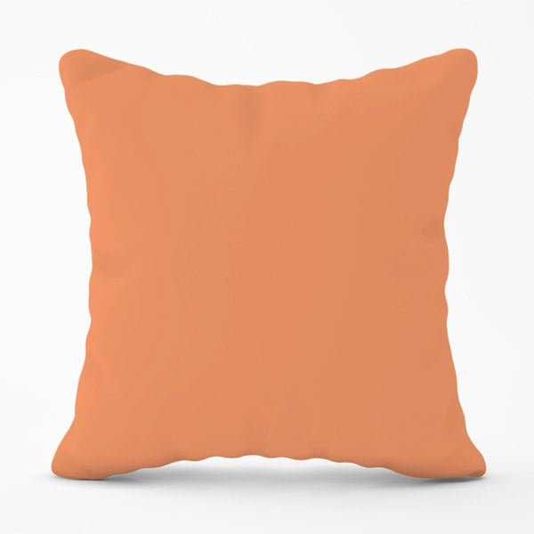 Warren Reed Faded Orange Cushions