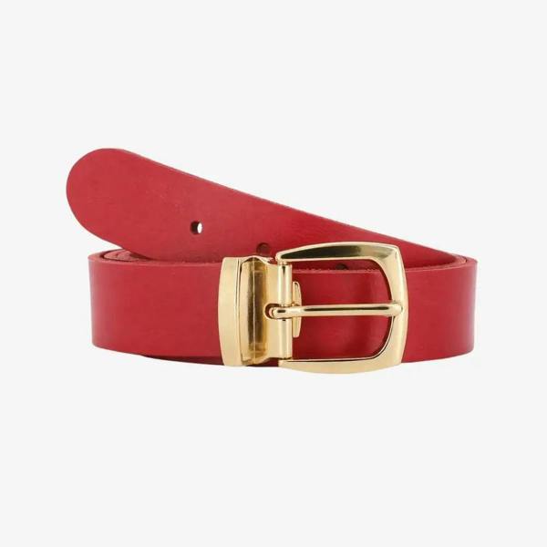 Front view of Red belt with a gold buckle on a white background