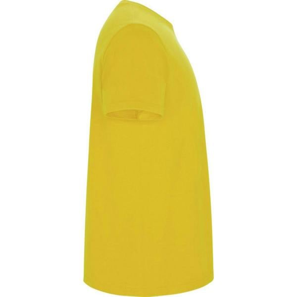 Roly Childrens/Kids Stafford T-Shirt - Yellow - 
