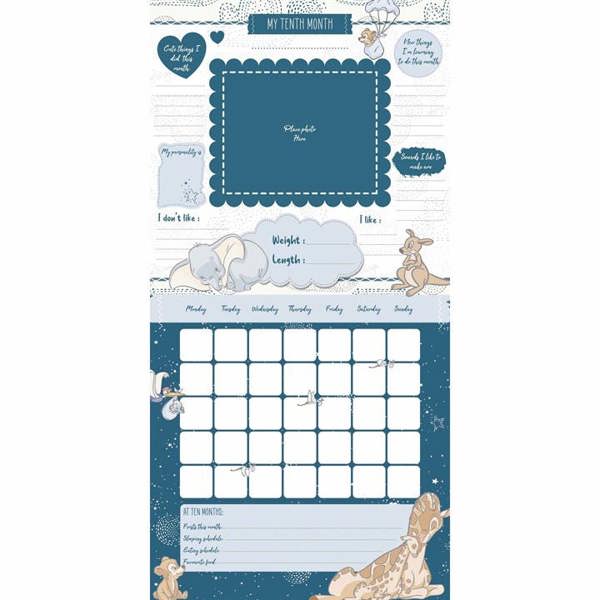 Disney Classic Babys First Year Calendar, Perpetual Calendars and Diaries, Month To View, Entertainment, Gift
