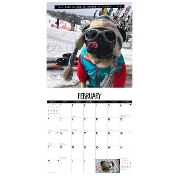 Doug The Pug Calendar 2027, Wall Calendars, Month To View, Dogs, Gift
