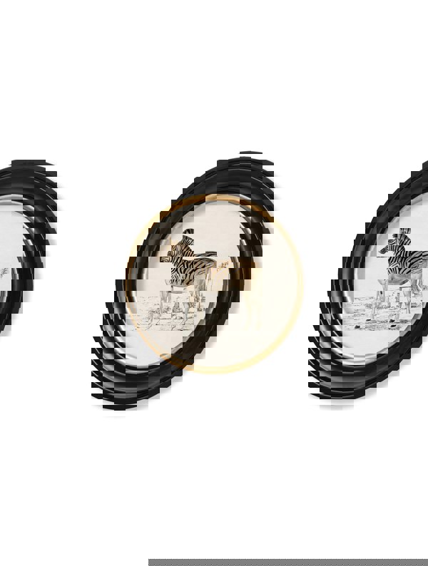 Exceptional Art c.1774 Zebra - Round Frame