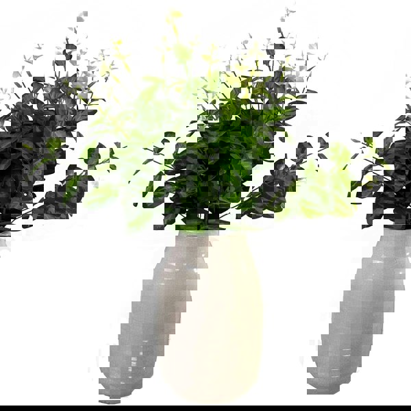 Hill Interiors Variegated Artificial Plant - Green