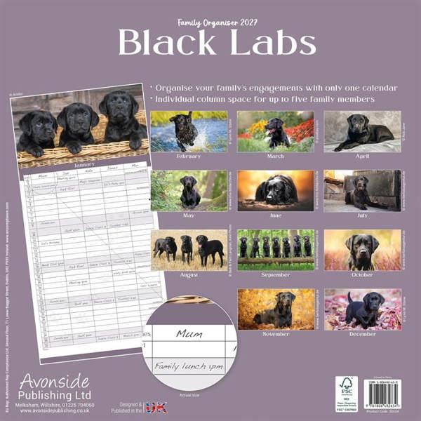 Black Labs Family Organiser 2027, Family Planners, Month To View, Dogs, Gift