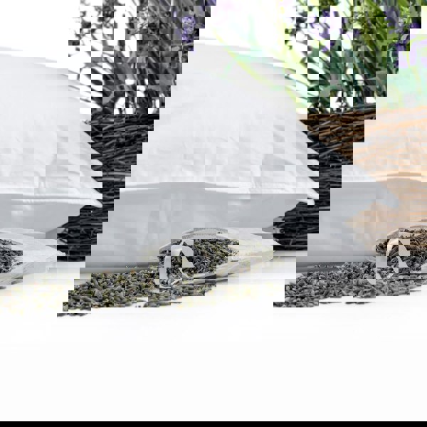 HOMESCAPES Goose Feather and Down Lavender Pillow with Dried Lavender Insert Extra Fill