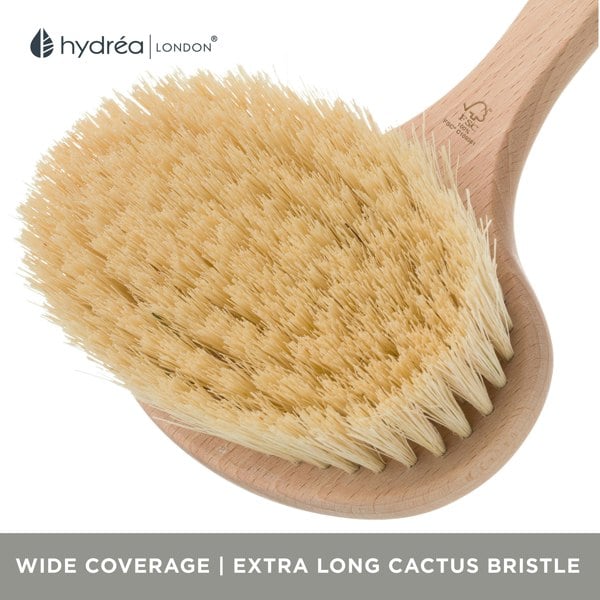 Hydréa London Professional Spa Dry Body Wide Brush  Cactus Bristle