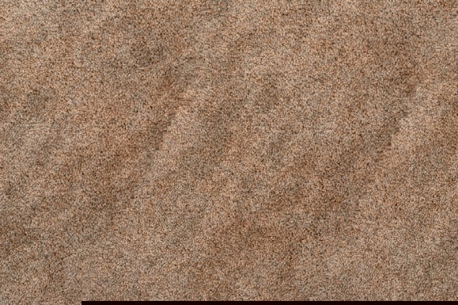 RugsX Wall-To-Wall Serenade Rug