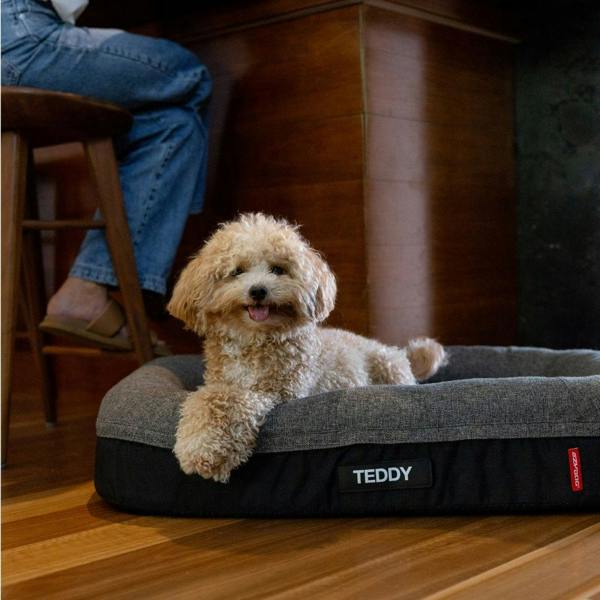 EzyDog Calm Elite Orthopaedic 2 in 1 Design Dog Bed