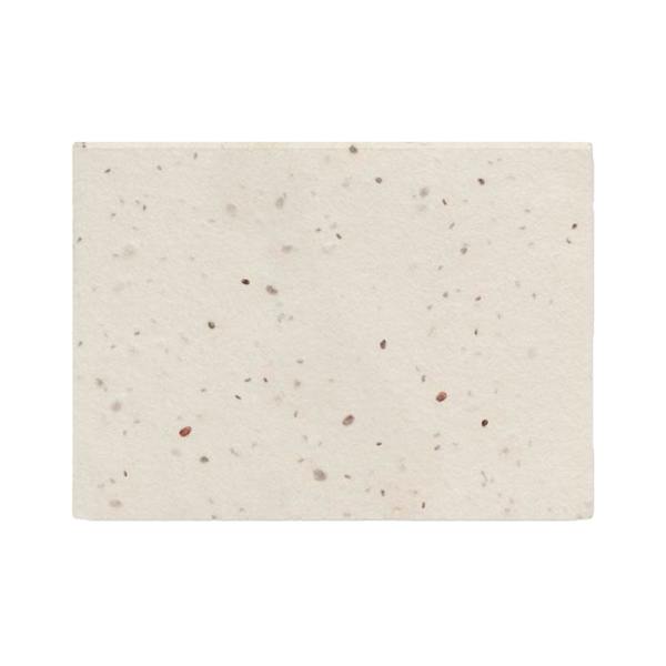 MidOcean Grow Me Seed Grass Paper Memo Pad - White - 