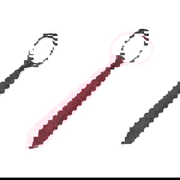 Paul Andrew Boys Paisley Necktie Floral Satin Tie