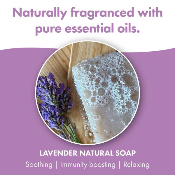 Friendly Soap 3 Pack - Natural Soap - Lavender