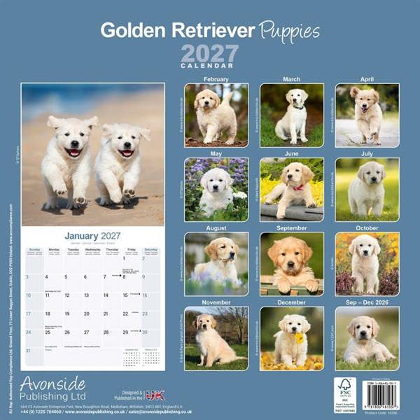 Golden Retriever Puppies Calendar 2027, Wall Calendars, Month To View, Dogs, Gift