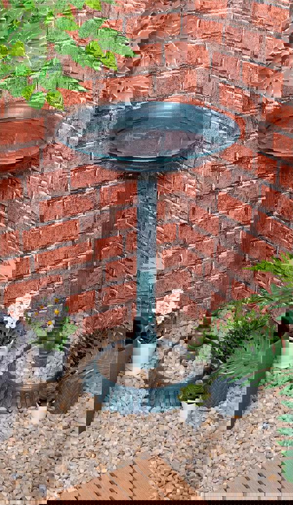 St Helens Ornamental Free Standing, Weather Resistant, Pedestal style, Easy Assemble Bird Bath