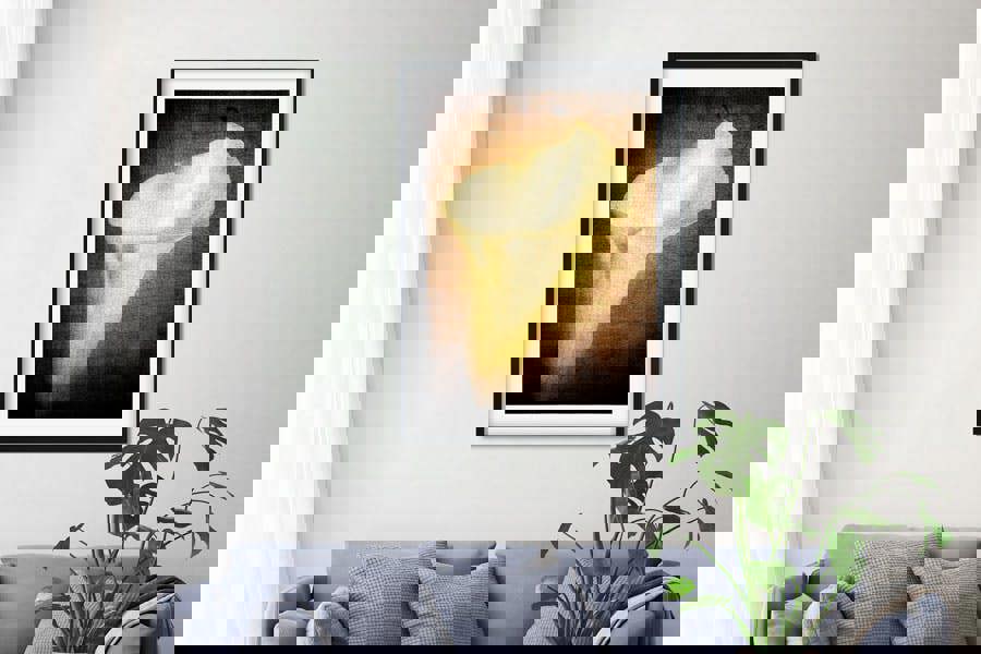 Fernlight Gallery A Life Once Lived