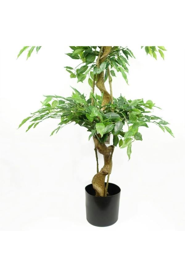 Dyzi 180cm Ficus Triple Ball Topiary Tree
