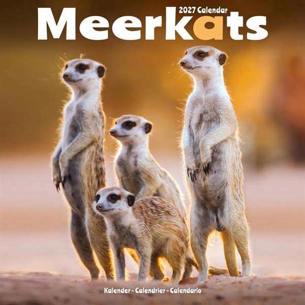 Meerkats Calendar 2027, Wall Calendars, Month To View, Animals, Gift