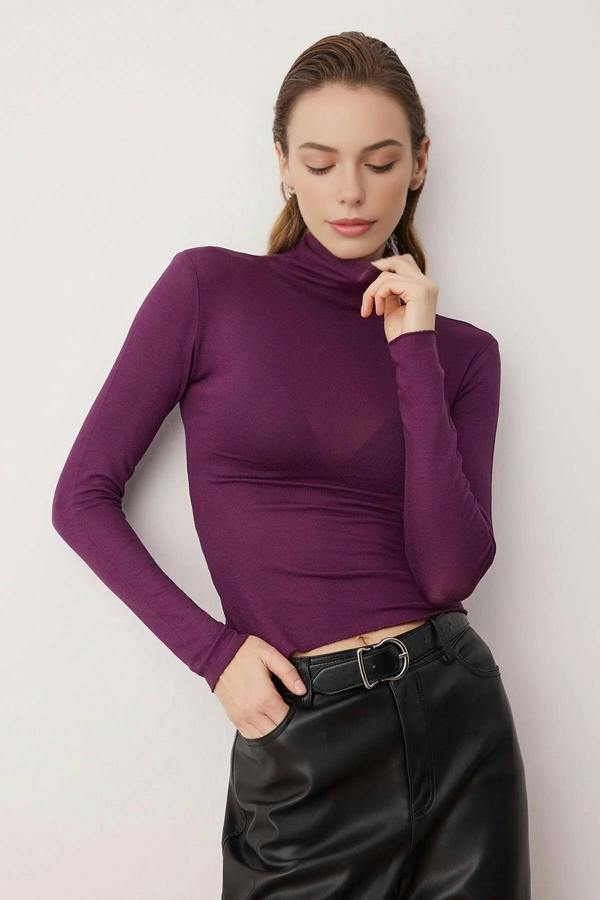 WOVCOR Transparent Stand Collar Flexible Regular Knit Blouse