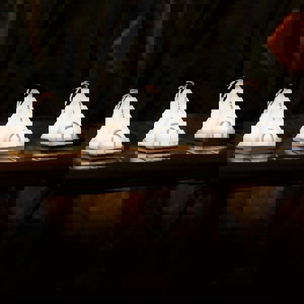 Leaper Portable Camping Tent Night Light