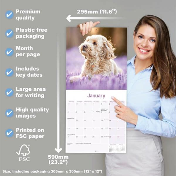 Cockapoo Calendar 2027, Wall Calendars, Month To View, Dogs, Gift