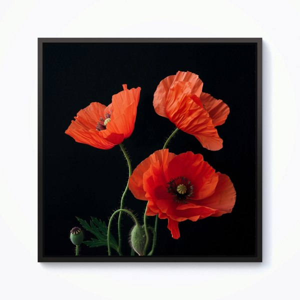 Warren Reed Poppies Framed Canvas