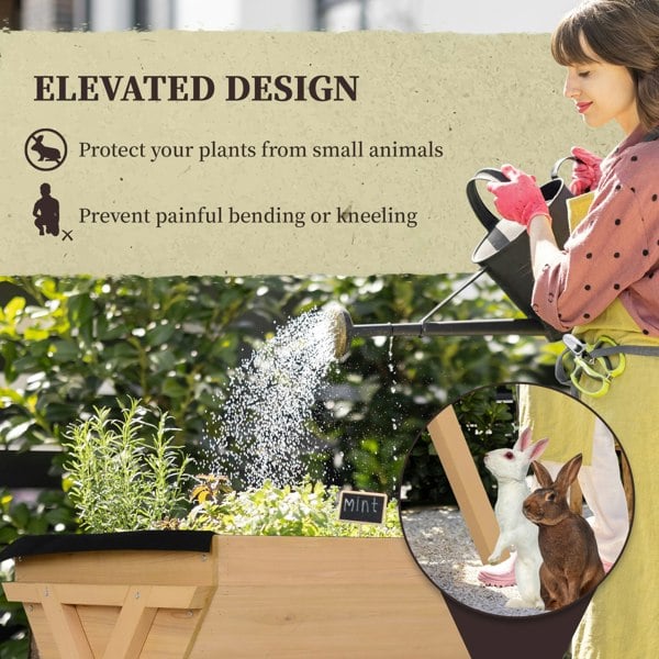 Raised Planter