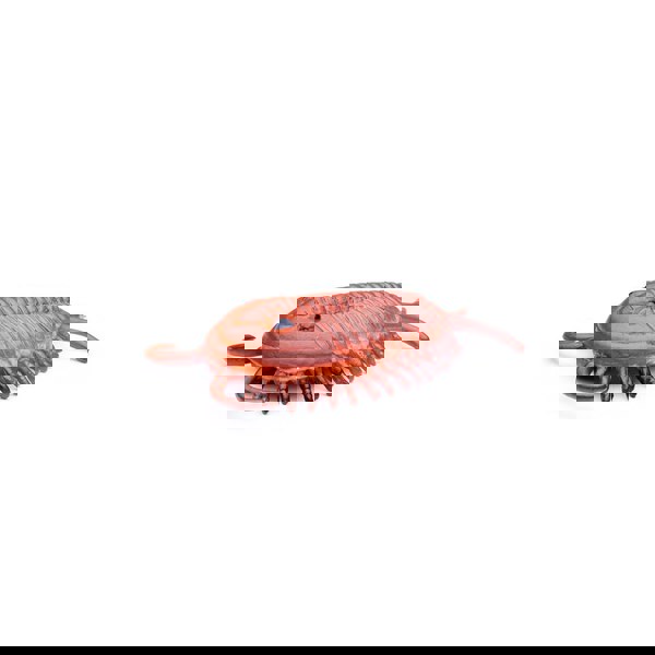 CollectA Mini Prehistoric Marine Animals
