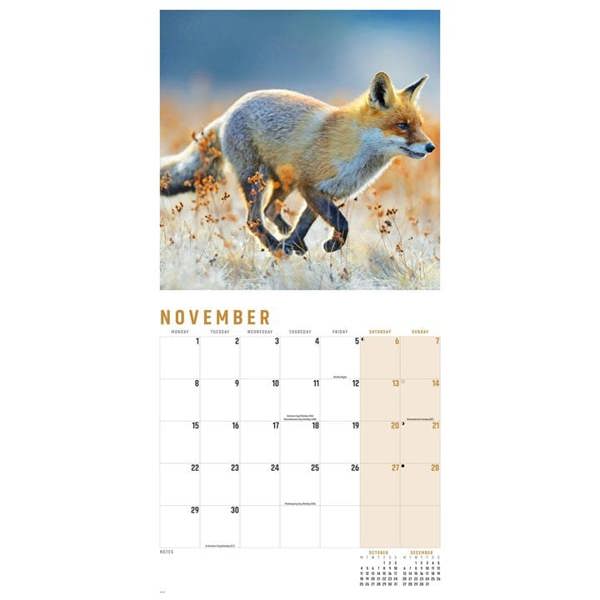 Foxes Calendar 2027, Wall Calendars, Month To View, Animals, Gift