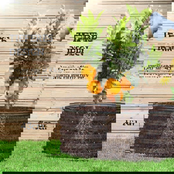 Garden Bed