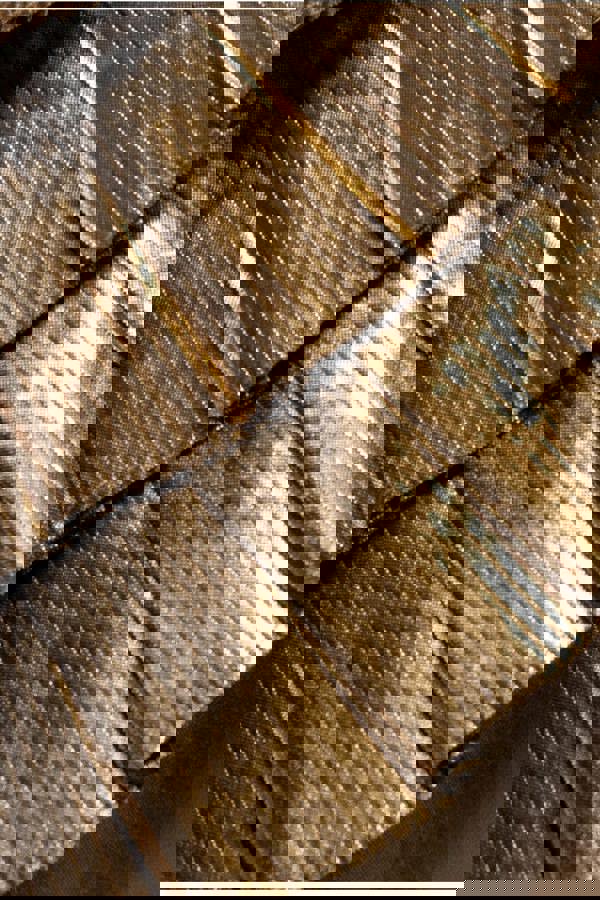 Fan Pleated Boobtube Scuba Crepe Mini - Gold DR4100